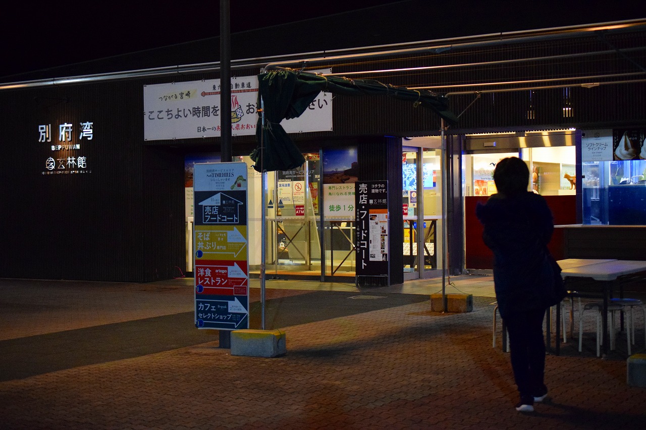 九州1周車中泊の旅 1日目その1 新たな旅の始まり 東九州自動車道 別府湾sa きょうだい児もりりんの育児マンガと日本１周旅ブログ